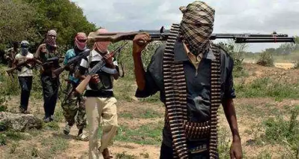 (Must Eead) shock as White Man Arrested In Sambisa Forest As Military Push To Destroy Boko Haram (Read)
